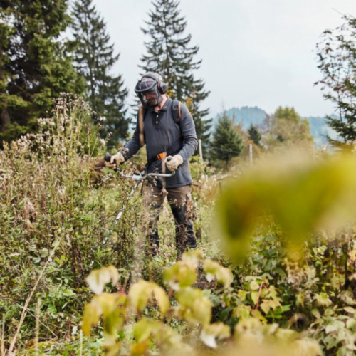 Débroussailleuse Stihl FS 131 – Image 2