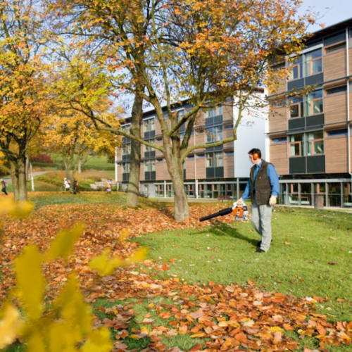 Souffleur à feuilles Stihl BG 66 – Image 3