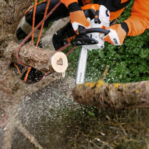 Tronçonneuse Stihl MS 201 TC-M - Guide rollo E 35 cm (3/8P PM3) – Image 2