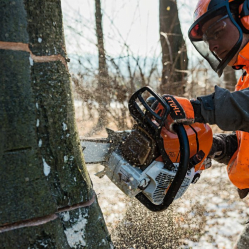 Tronçonneuse Stihl MS 661 C-M Guide rollo ES 63 cm (3/8 RS) – Image 3