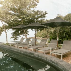 Terrasse et jardin