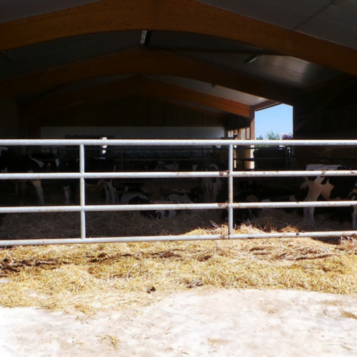 Arrière EX4 de 6/7m L.5.50m Jourdain – Image 3