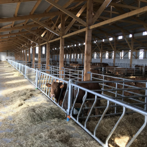 Panneau LS oblique de 10 passages / 5m Jourdain – Image 2
