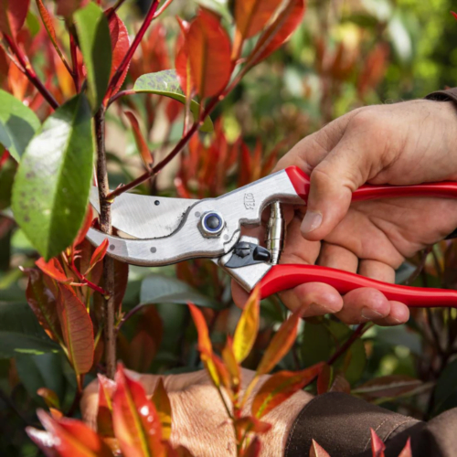 Sécateur Felco 4 standard – Image 2