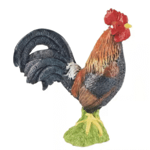 Coq gaulois PAPO
