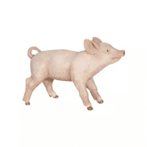 Porcelet femelle PAPO