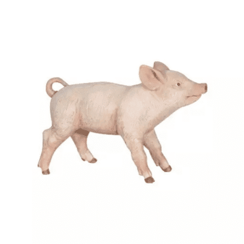 Porcelet femelle PAPO