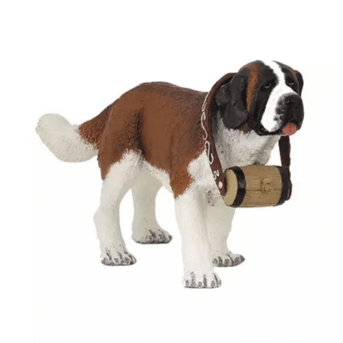 Chien Saint-Bernard au tonneau PAPO